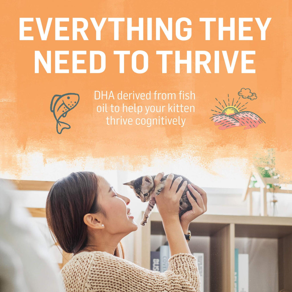 Purina Beyond Chicken & Oatmeal Recipe Dry Kitten Food, 3-lb Bag (Pack of 32)