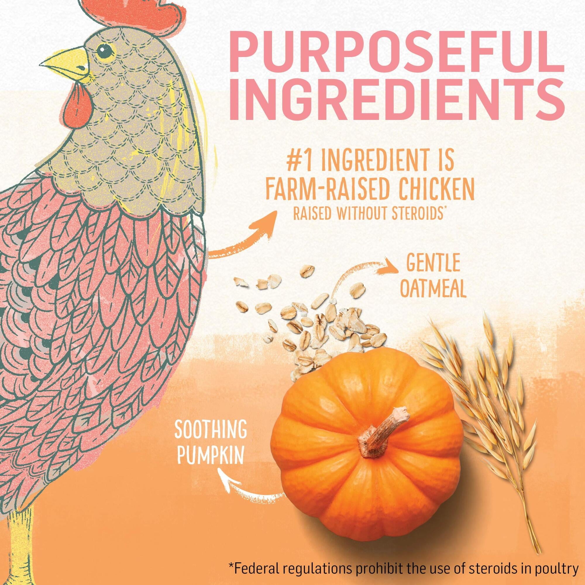 Purina Beyond Chicken & Oatmeal Recipe Dry Kitten Food, 3-lb Bag (Pack of 48)