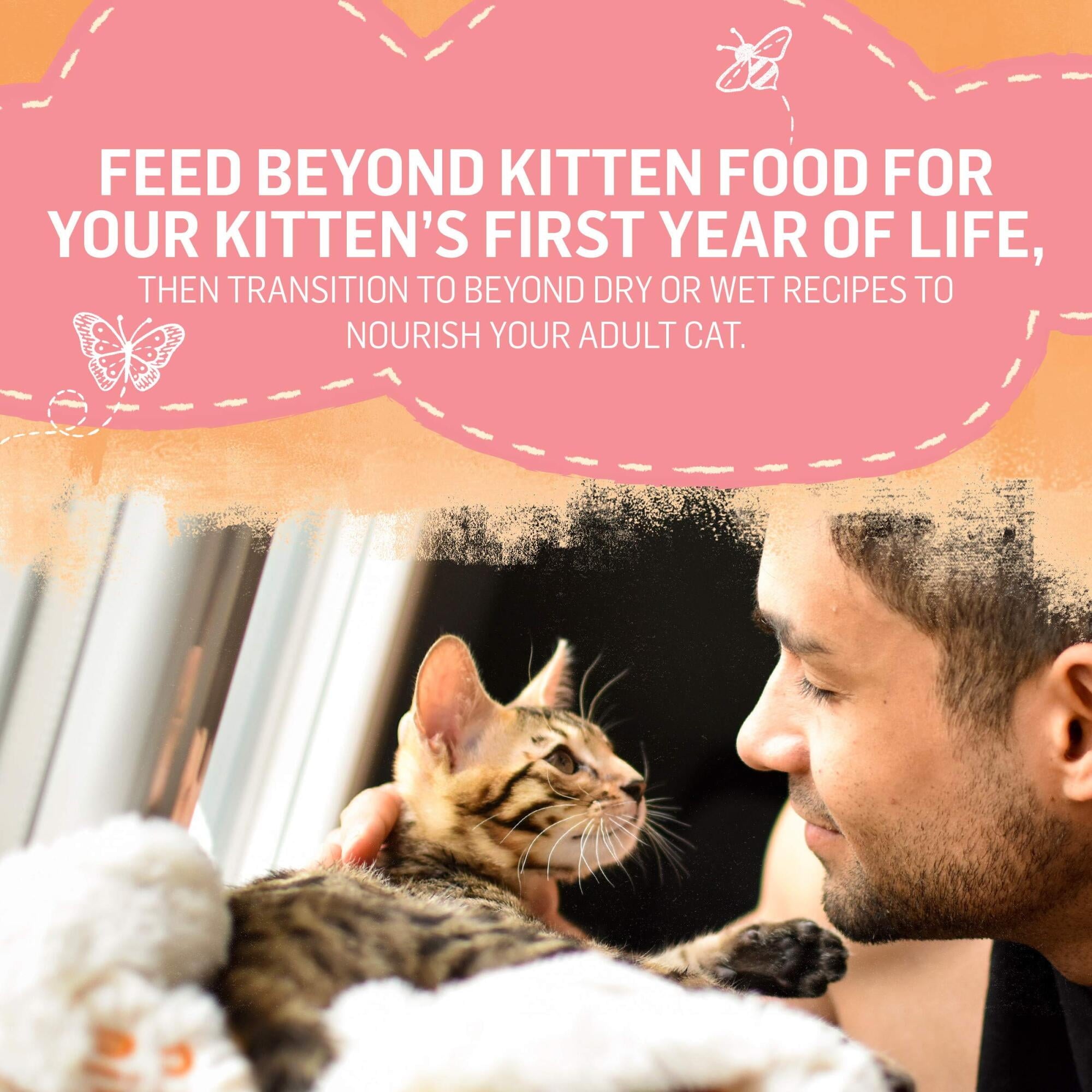 Purina Beyond Chicken & Oatmeal Recipe Dry Kitten Food, 3-lb Bag (Pack of 48)