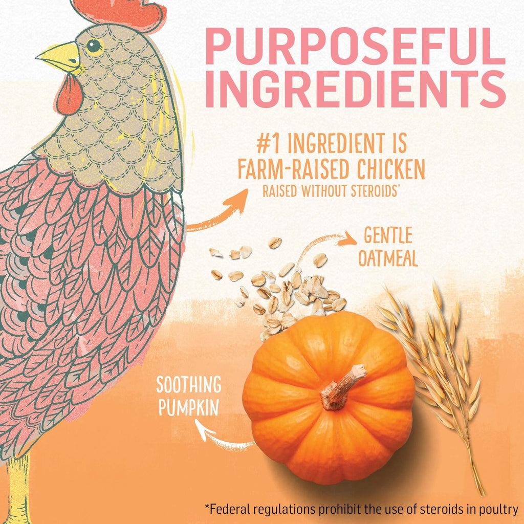 Purina Beyond Chicken & Oatmeal Recipe Dry Kitten Food, 3-lb Bag (Pack of 32)